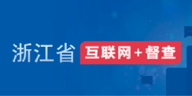 浙江省互聯(lián)網(wǎng)+督查