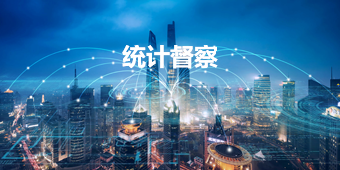 統(tǒng)計(jì)督察